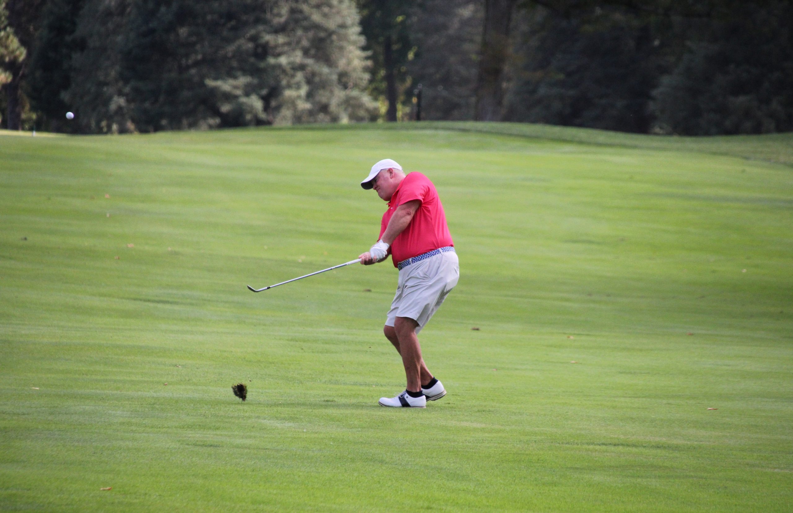 Senior Championships – Golf Association of Michigan